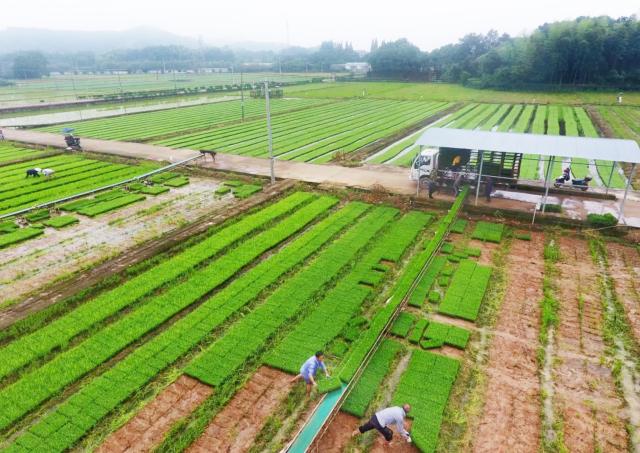 20190610156015920976302636.jpg 20190610156015920976302636.jpg